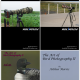 ��������Ӱ��������The_Art_of_Bird_Photography_II